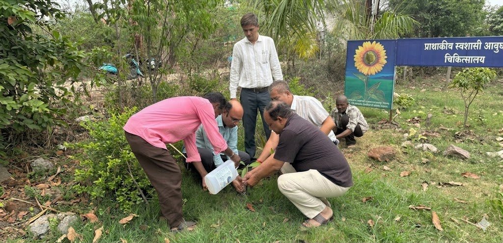 विश्व पर्यावरण दिवस मनाया गया -